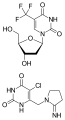 Thumbnail for version as of 13:32, 21 May 2026