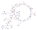 Thumbnail for version as of 11:33, 19 May 2026