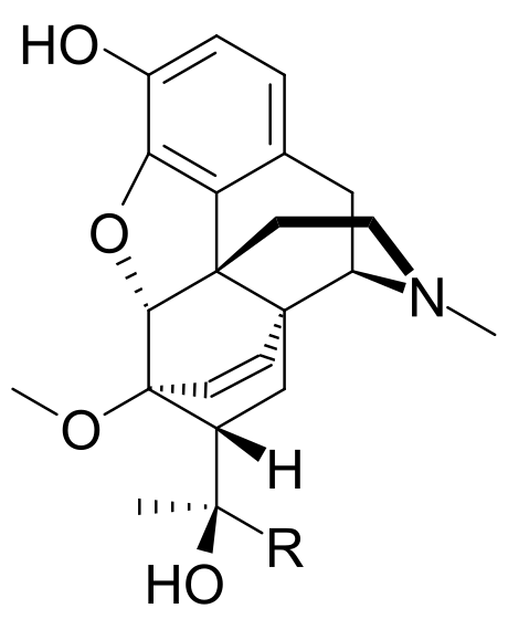 File:Bridged oripavine general.svg