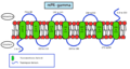 Thumbnail for version as of 22:31, 8 June 2026