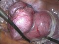 Thumbnail for version as of 22:25, 8 June 2026