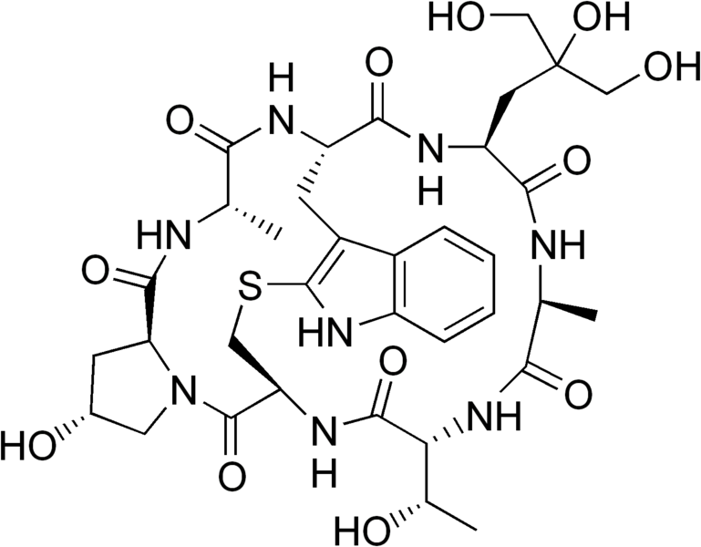 File:Phallisin.png