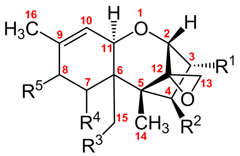 File:Trichothecenes.png