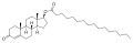 Thumbnail for version as of 01:55, 22 May 2026
