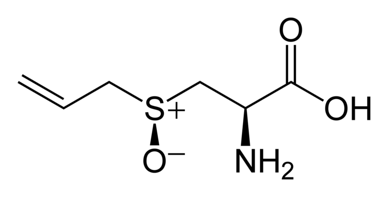 File:L-alliin-2D-skeletal.png