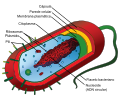 Thumbnail for version as of 22:13, 18 May 2026