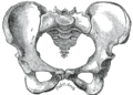 Pelvimetry