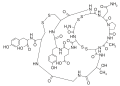 Thumbnail for version as of 12:16, 21 May 2026