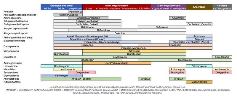File:Antibiotics coverage diagram.jpg