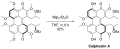 Thumbnail for version as of 02:08, 24 May 2026