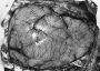 Thumbnail for version as of 02:06, 7 June 2026