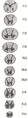 Thumbnail for version as of 17:28, 18 May 2026