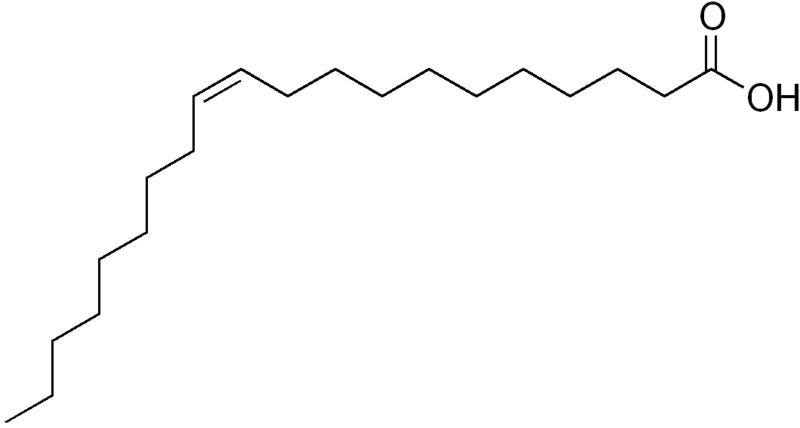 File:Eicosenoic acid.png