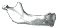 Thumbnail for version as of 17:28, 18 May 2026