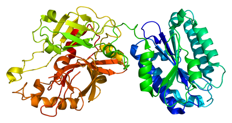 File:Protein C2 PDB 2i6q.png