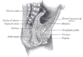 Thumbnail for version as of 17:28, 18 May 2026