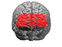 Thumbnail for version as of 19:19, 4 June 2026