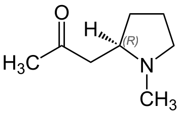 File:Hygrine Structural Formula V.1.svg