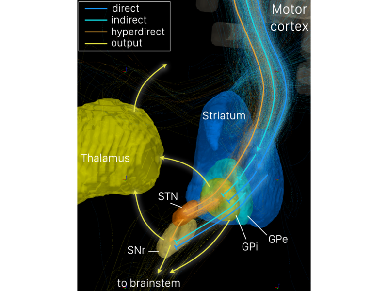 File:Motor loop.png