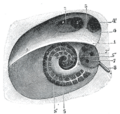 Thumbnail for version as of 17:28, 18 May 2026