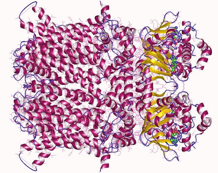 File:5u6p2.jpg