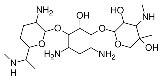 File:Gentamicin Structure.svg