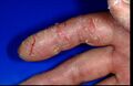 Thumbnail for version as of 01:22, 2 June 2026