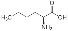 File:L-Norleucin.svg