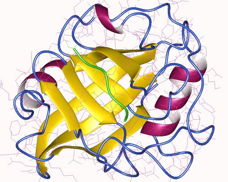 File:1awv.jpg