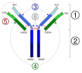 Thumbnail for version as of 01:22, 2 June 2026