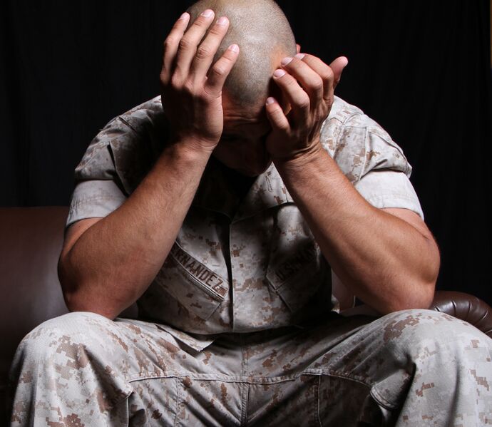 File:Battling PTSD (4949341330) (cropped).jpg