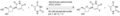 Thumbnail for version as of 14:41, 24 May 2026