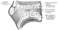 Thumbnail for version as of 17:28, 18 May 2026