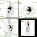 Thumbnail for version as of 02:06, 7 June 2026