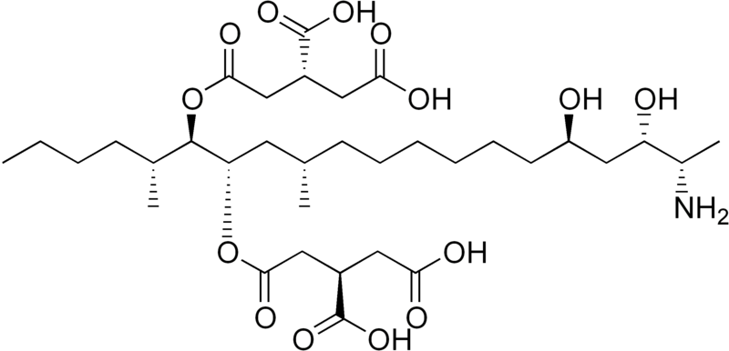 File:Fumonisin B2.png
