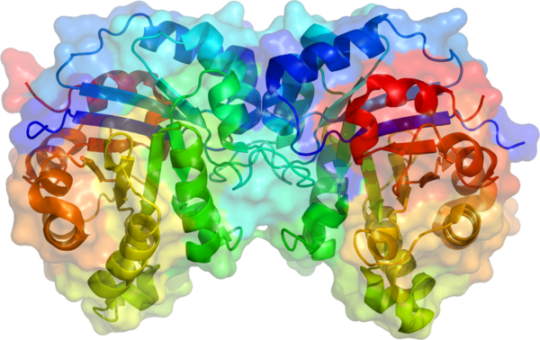 File:TPI1 structure.png