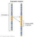 Thumbnail for version as of 17:29, 15 May 2026