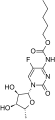 Thumbnail for version as of 02:09, 24 May 2026