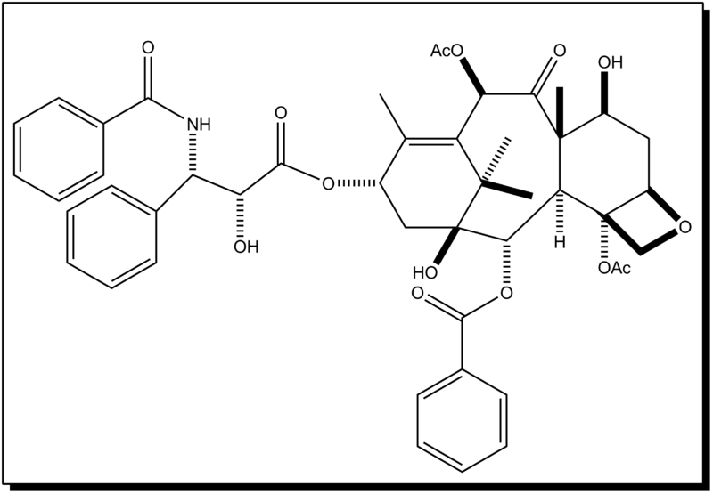 File:PACLITAXEL.png