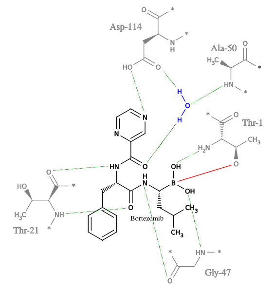 File:Bortezomib-bindings.svg