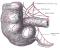 Thumbnail for version as of 17:27, 18 May 2026