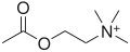 Acetylcholine