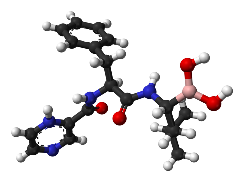 File:Bortezomib-from-PDB-2F16-3D-balls.png