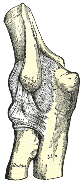 File:Gray330.png