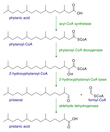 File:Alpha oxidation.svg
