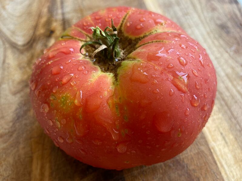 File:Brandywine-Tomato.jpg