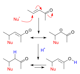 File:NucleophilicConjugateAddition.svg