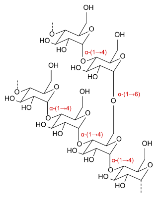 File:Dextrin skeletal.svg