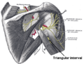 Thumbnail for version as of 13:40, 23 May 2026