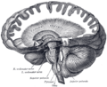 Thumbnail for version as of 17:28, 18 May 2026